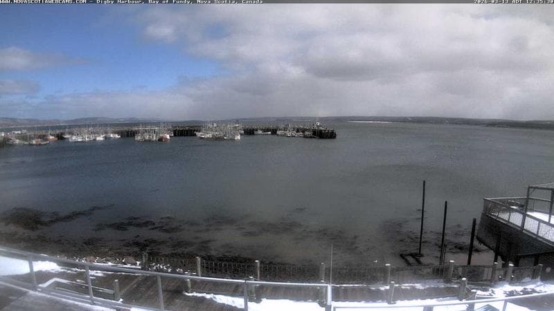 Digby Harbour