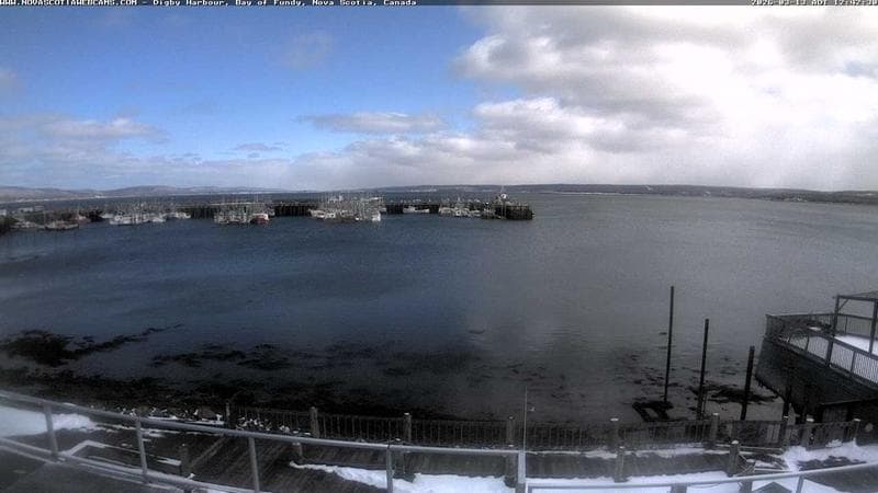 Digby Harbour