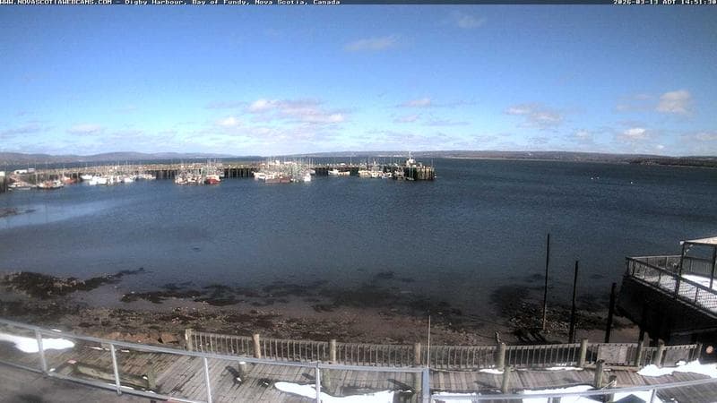 Digby Harbour
