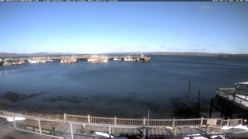 Digby Harbour