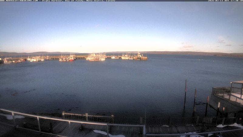 Digby Harbour
