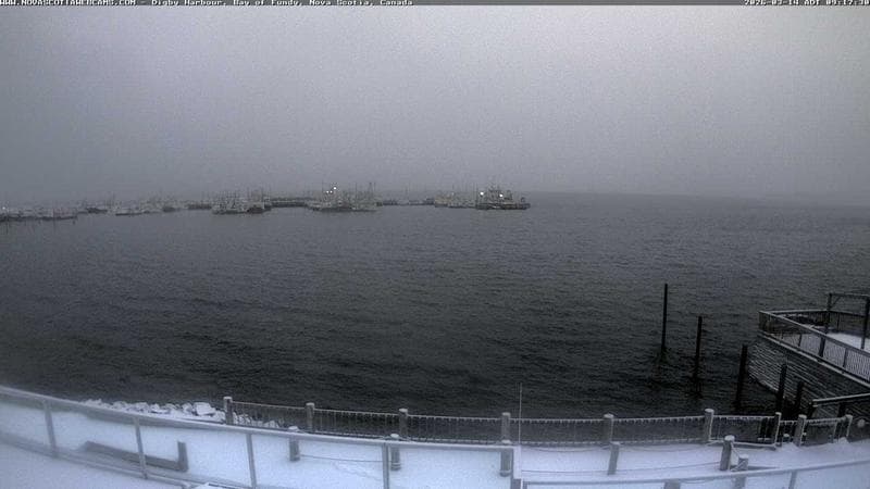 Digby Harbour
