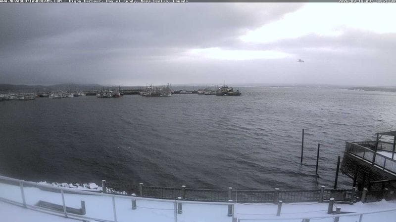 Digby Harbour