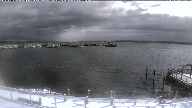 Digby Harbour