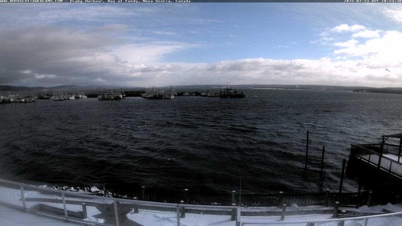 Digby Harbour