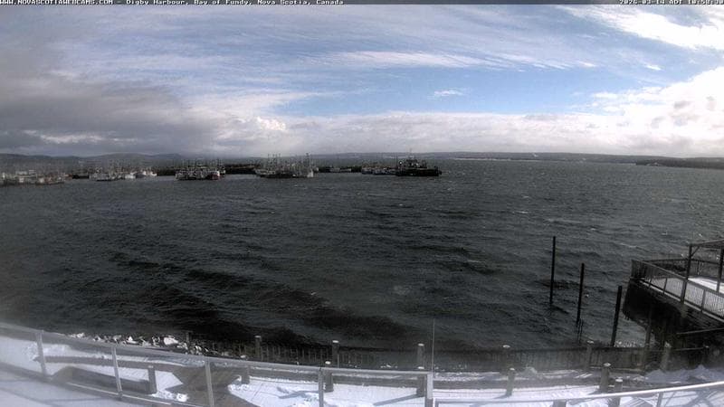 Digby Harbour