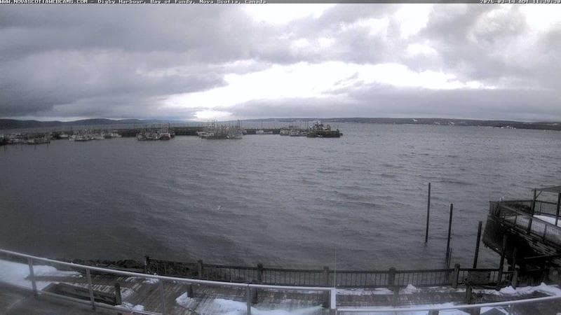 Digby Harbour