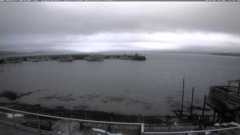 Digby Harbour