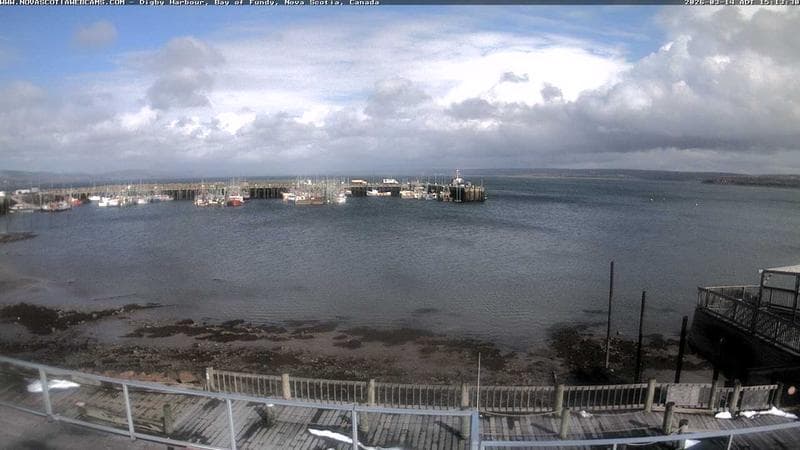 Digby Harbour