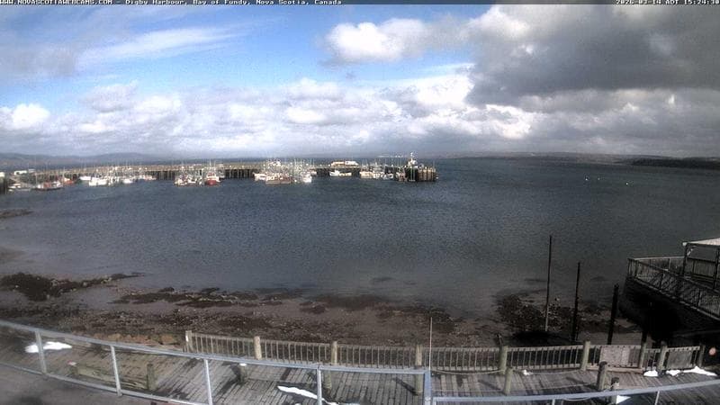 Digby Harbour