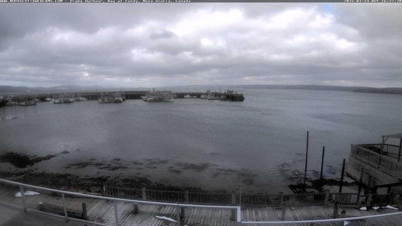 Digby Harbour