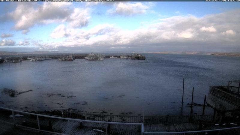Digby Harbour