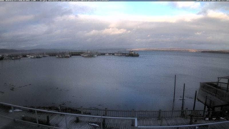 Digby Harbour