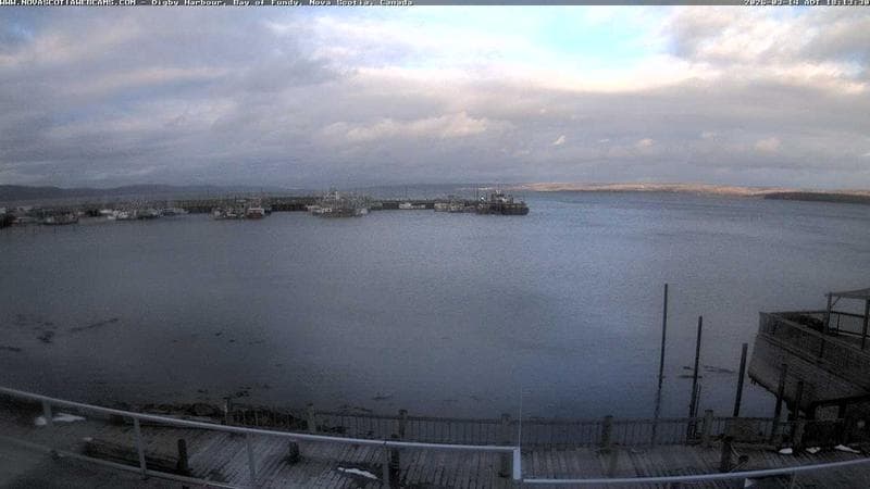 Digby Harbour