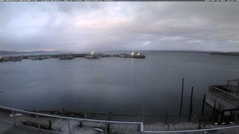 Digby Harbour