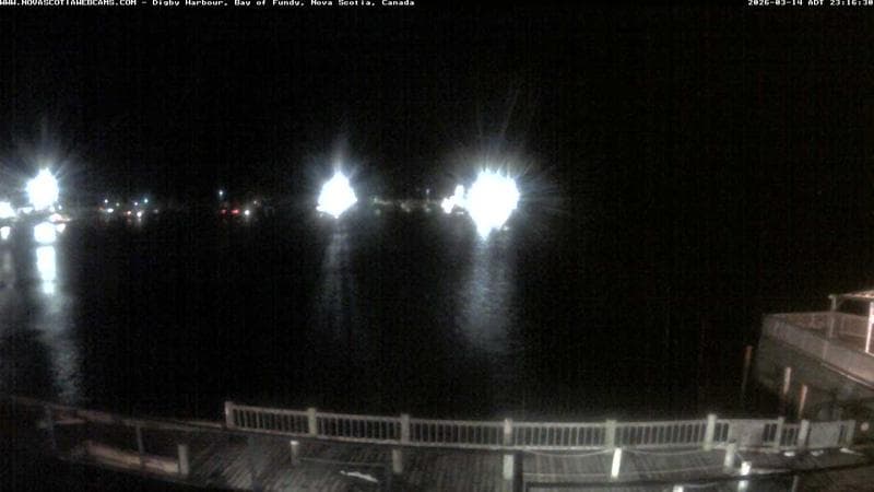 Digby Harbour