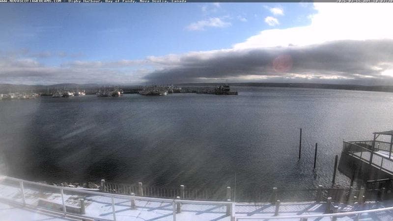 Digby Harbour