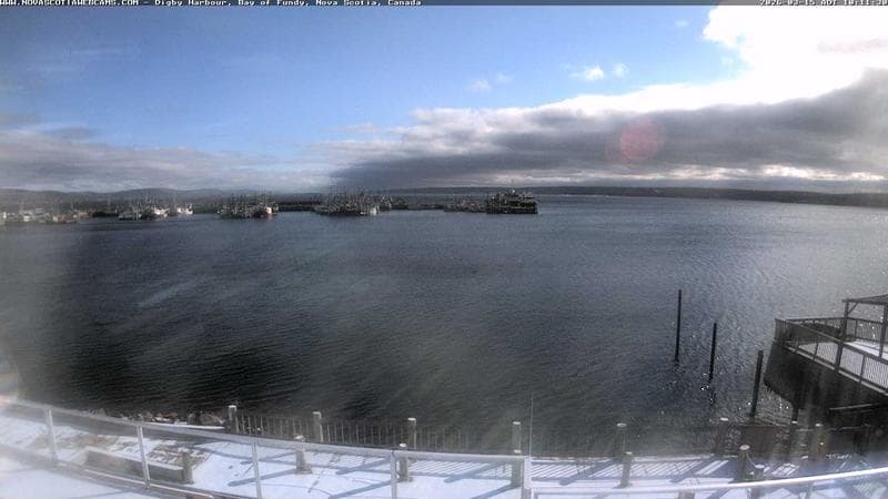 Digby Harbour