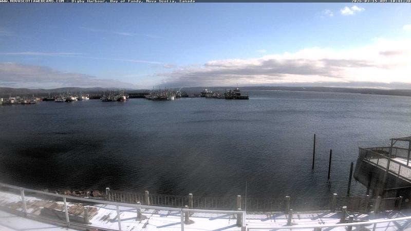 Digby Harbour