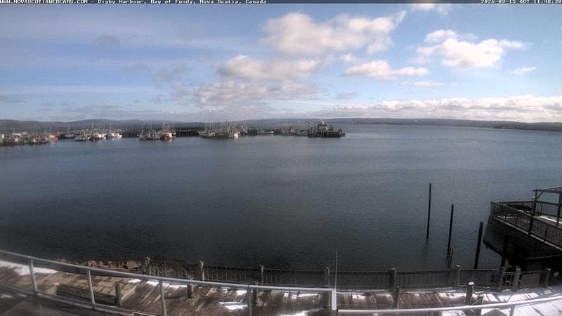 Digby Harbour