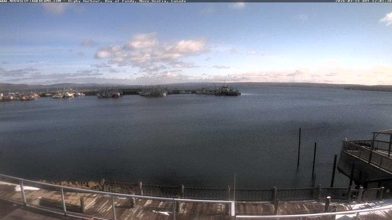 Digby Harbour