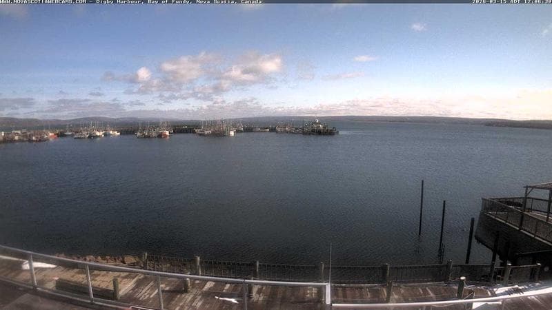 Digby Harbour