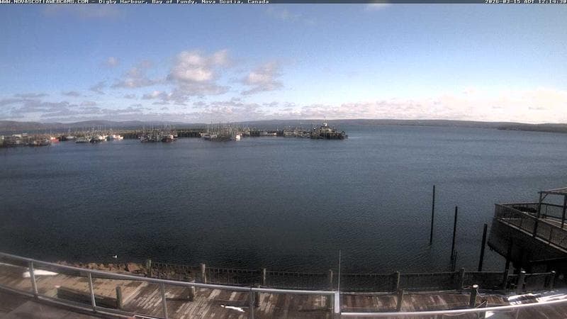 Digby Harbour