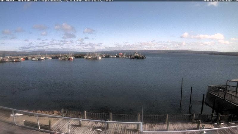 Digby Harbour