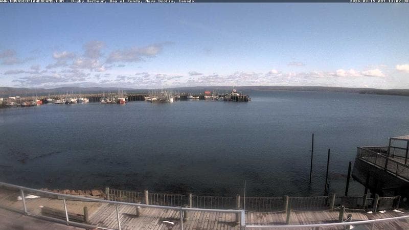 Digby Harbour