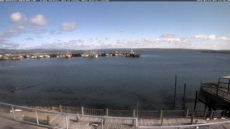 Digby Harbour