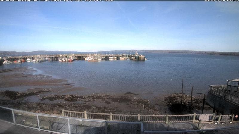 Digby Harbour