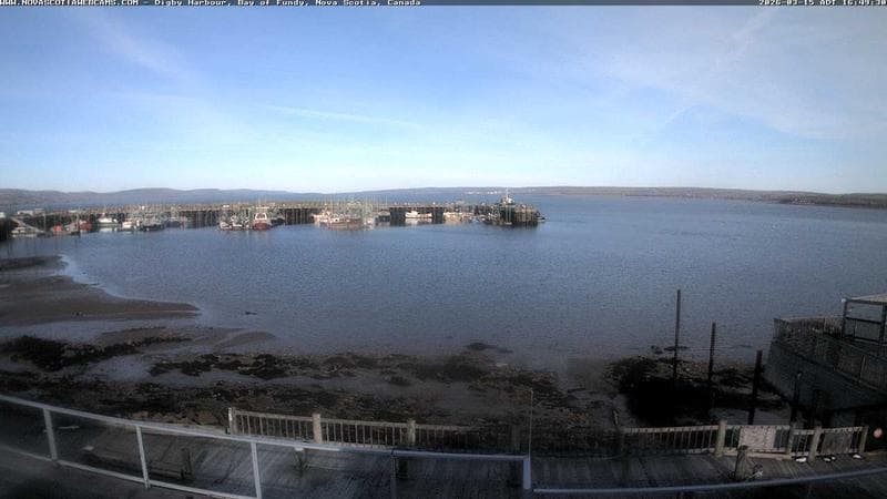 Digby Harbour