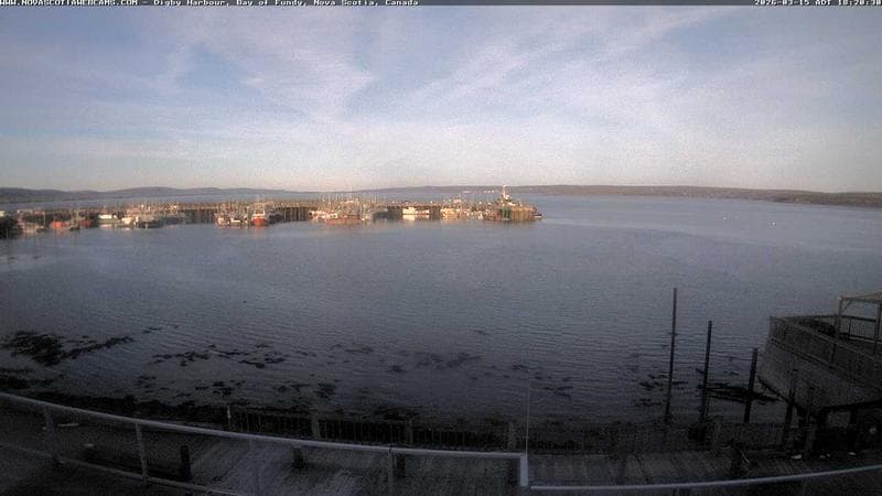 Digby Harbour