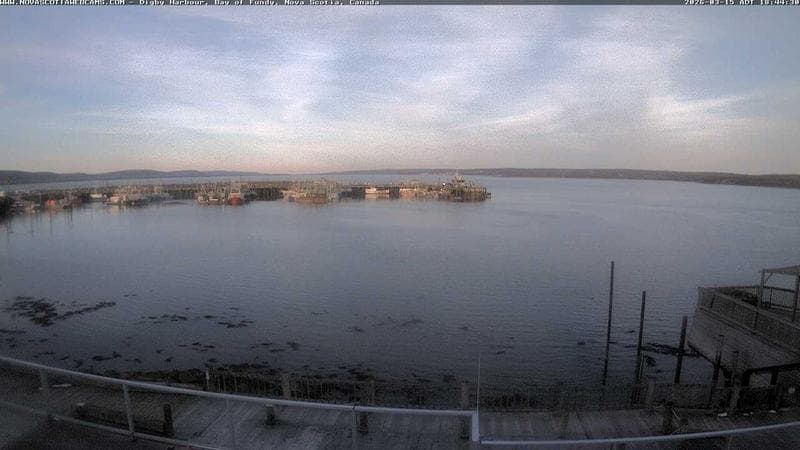 Digby Harbour