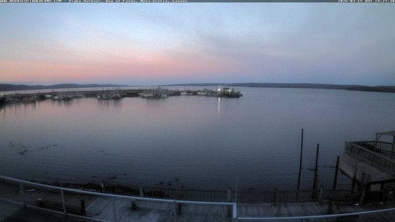Digby Harbour