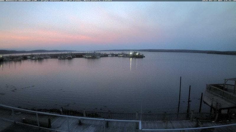 Digby Harbour