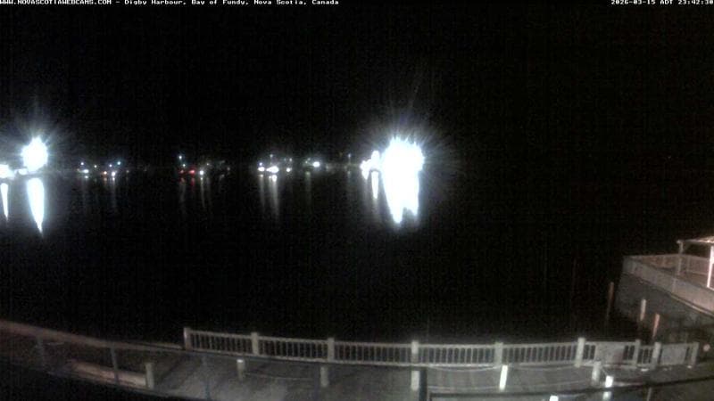 Digby Harbour
