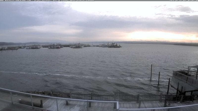 Digby Harbour