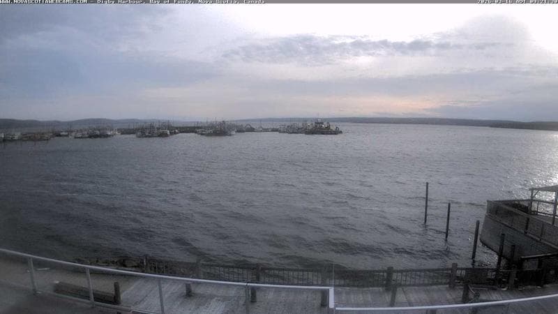 Digby Harbour