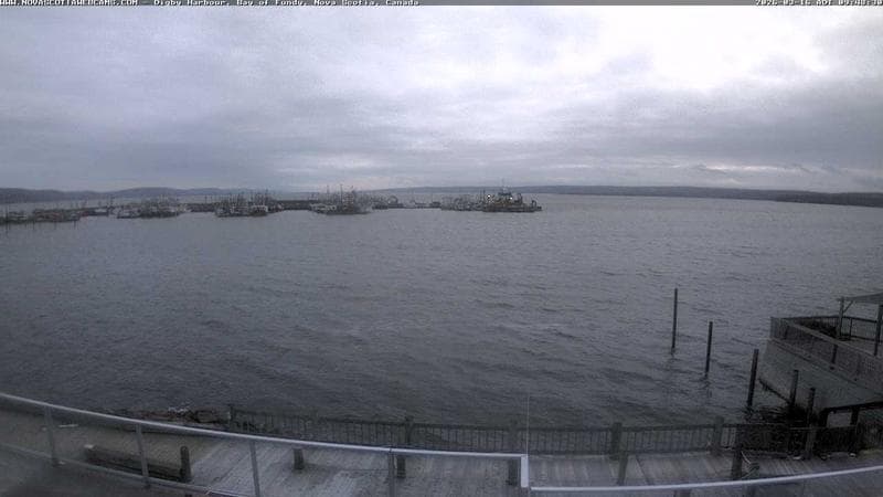 Digby Harbour