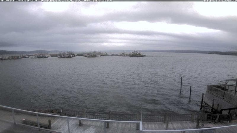Digby Harbour