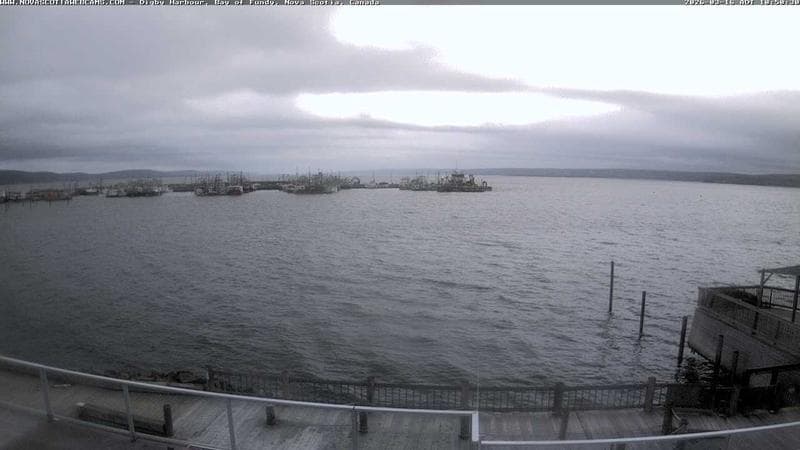 Digby Harbour
