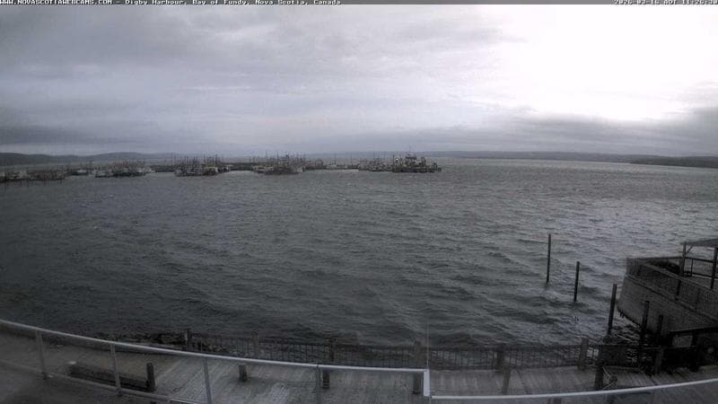 Digby Harbour