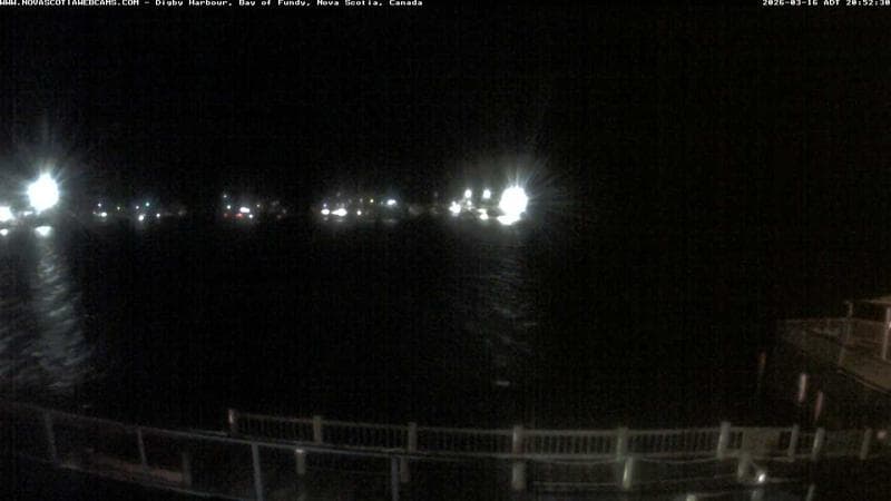 Digby Harbour