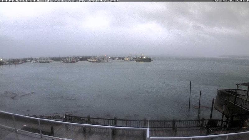 Digby Harbour