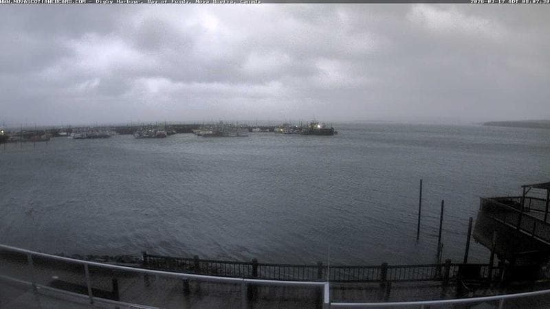 Digby Harbour