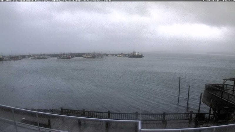 Digby Harbour