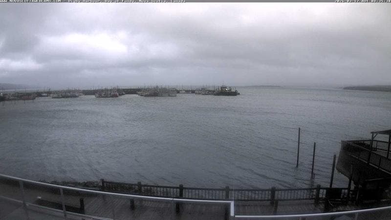 Digby Harbour