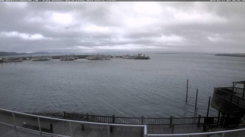 Digby Harbour