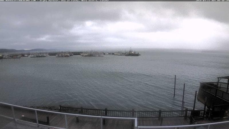 Digby Harbour